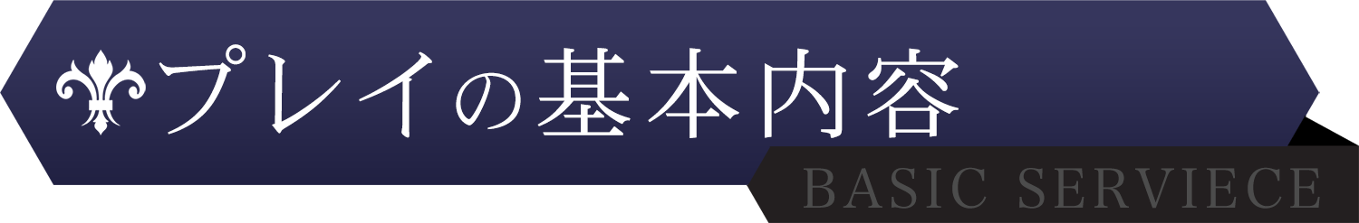 プレイの基本内容