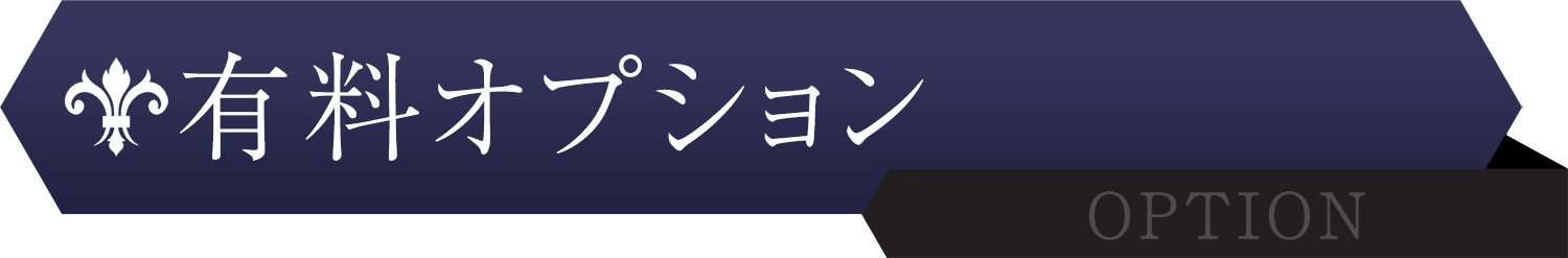 有料オプション